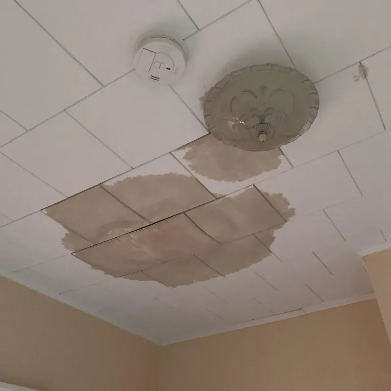 Ceiling Water Damage Repair in Weston, WV
