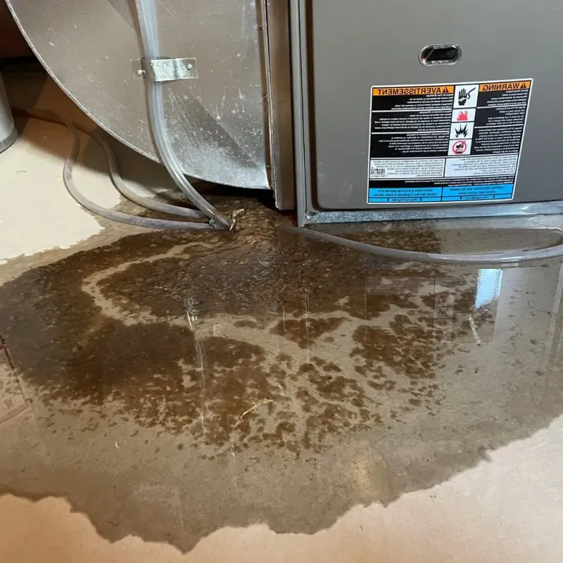 Pipe Burst and Leak Restoration in Weston, WV