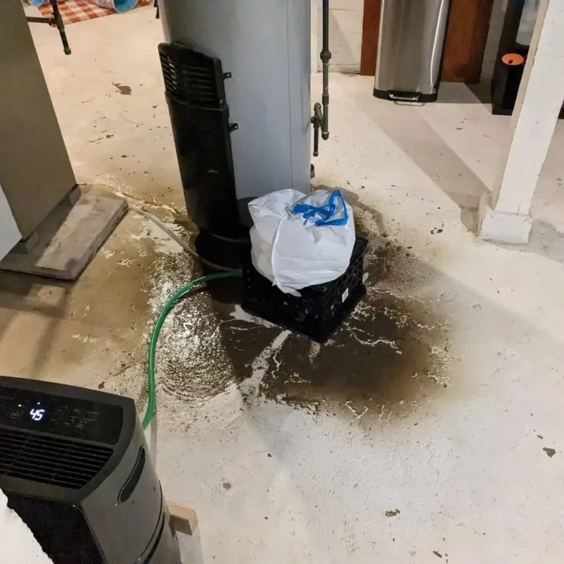 Sewage Backup Cleanup Service in Weston, WV